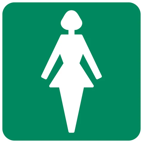 Ladies Toilet safety sign 